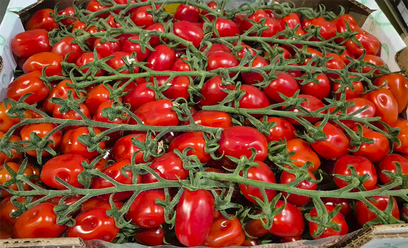 Pomodoro Datterino - Sicilia - 5,00/5,50 euro al chilogrammo